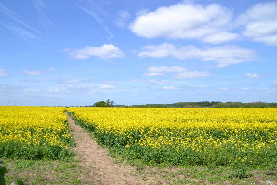 Open countryside views