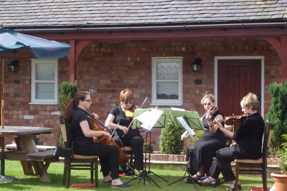 String Quartet