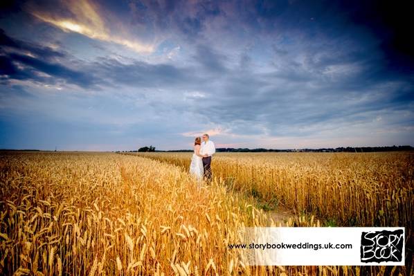 Fields of gold