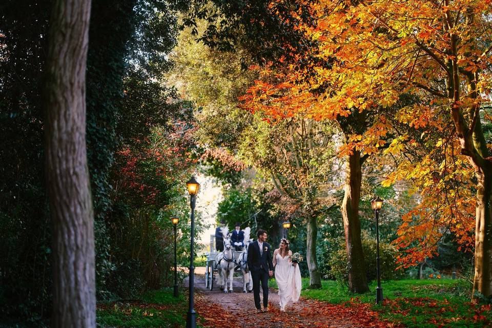 The stunning driveway