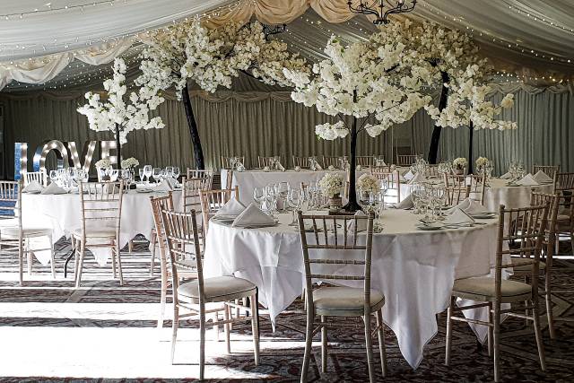 Indoor Setting