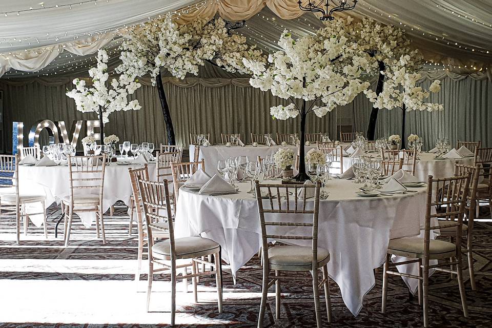Indoor Setting