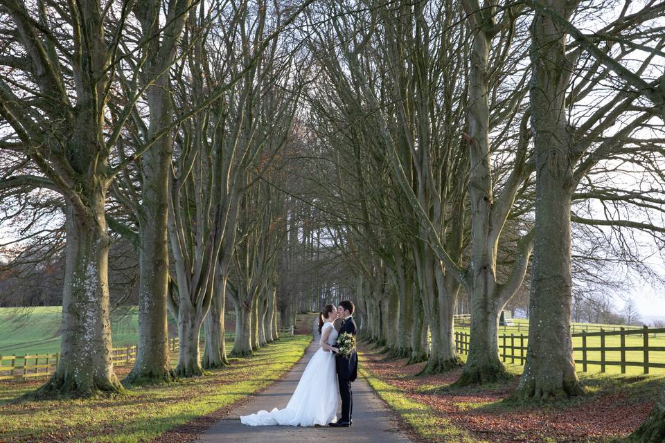 Dorset wedding trees