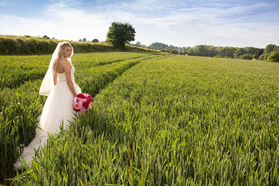 Marnhull field bride
