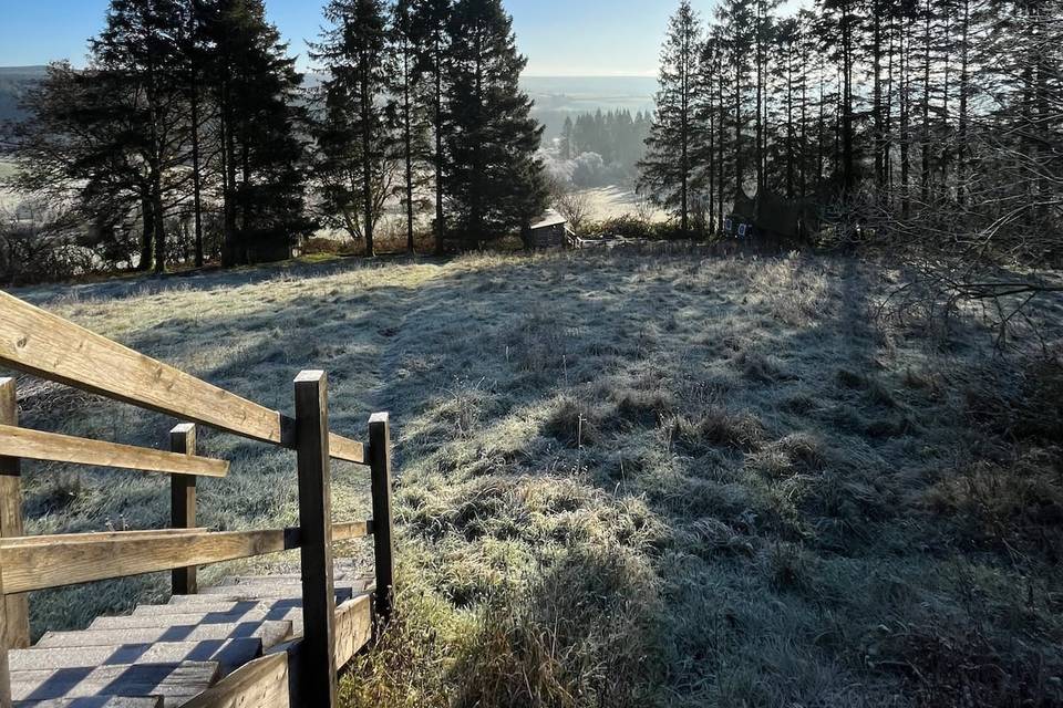 Winter view of garden