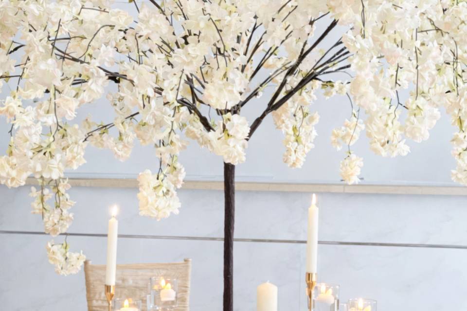 Blossom