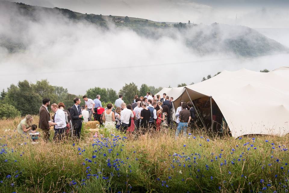 White Rose Tents