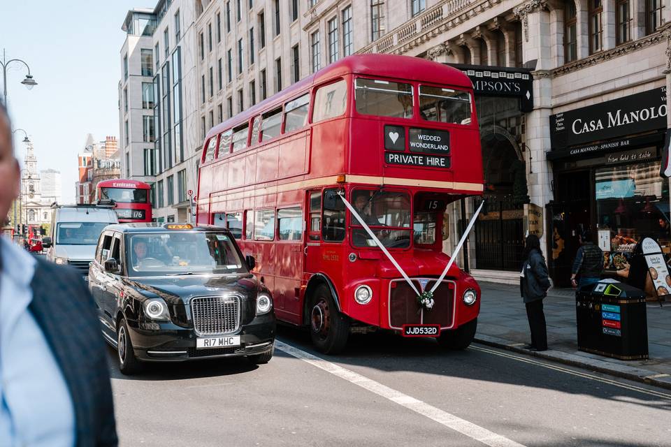 Wedded Wonderland Bus