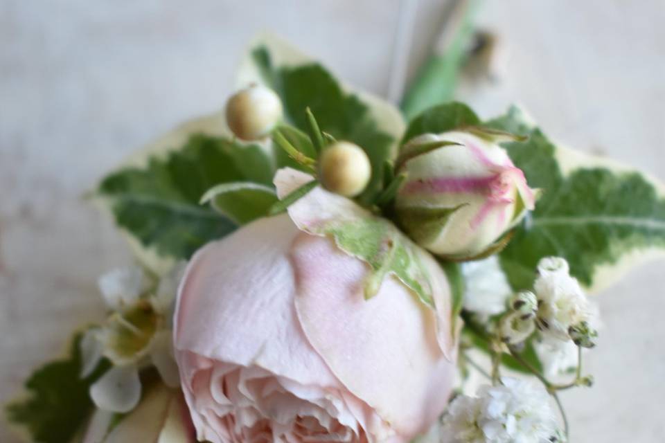 Rose buttonhole