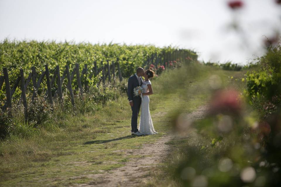 Kiss in the Vineyards