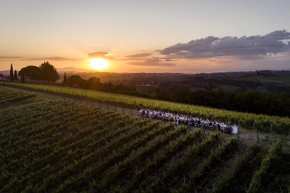 Dinner in the vineyards