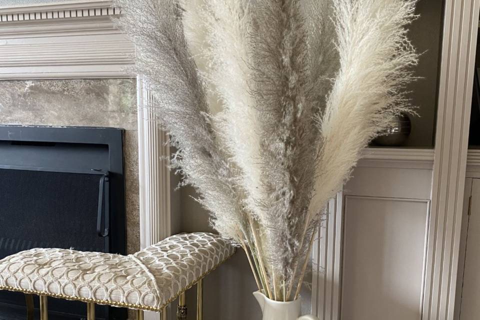 Grey and white fluffy pampas