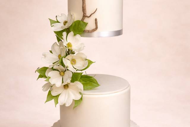 Gravity defying Dogwood rose