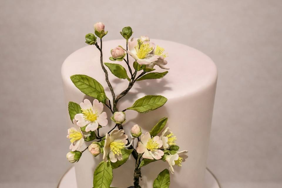 Cherry blossom cake