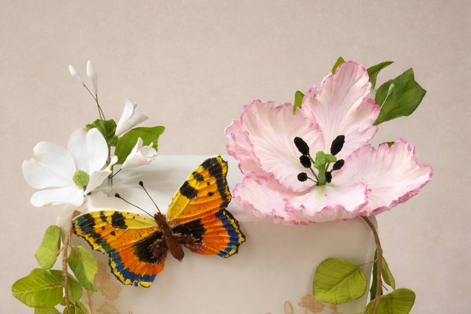 Square Butterfly cake