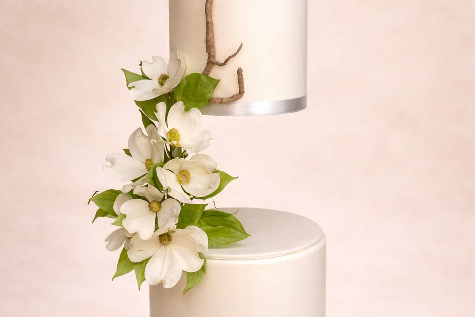 Gravity defying Dogwood rose