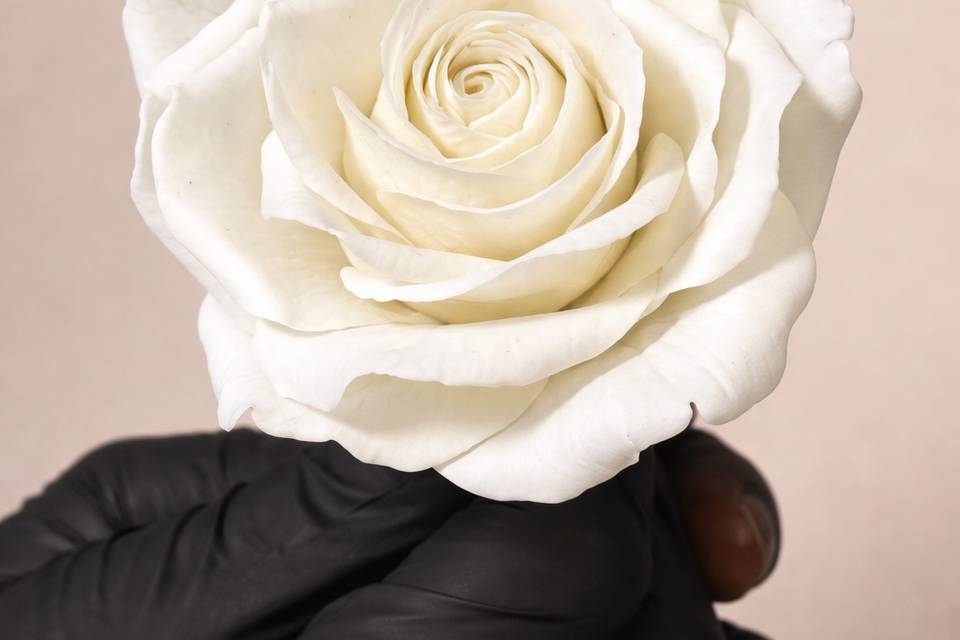 Handmade Avalanche rose