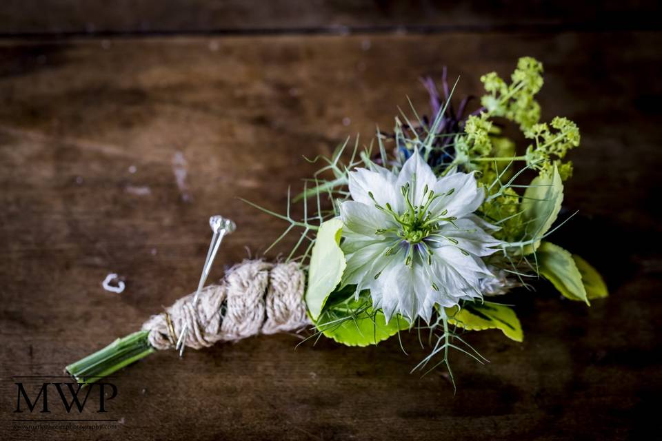 Lovely flowers - Mark Wheeler Photography