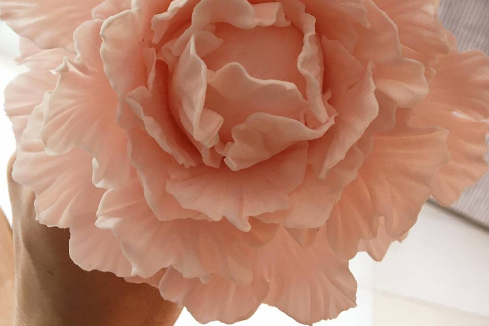 Blush peony