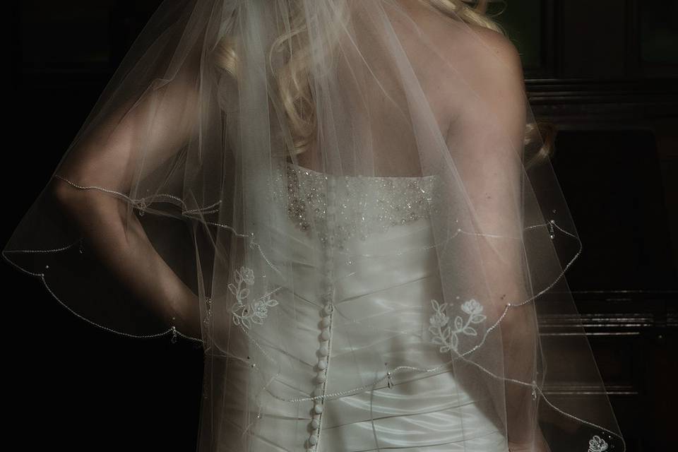 Bride's dress detail before