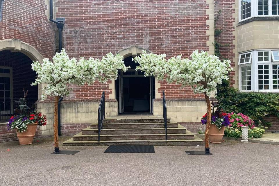 Matching canopy trees