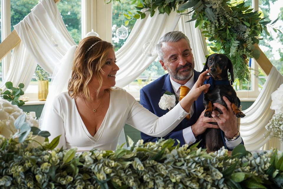 Dog Friendly Weddings