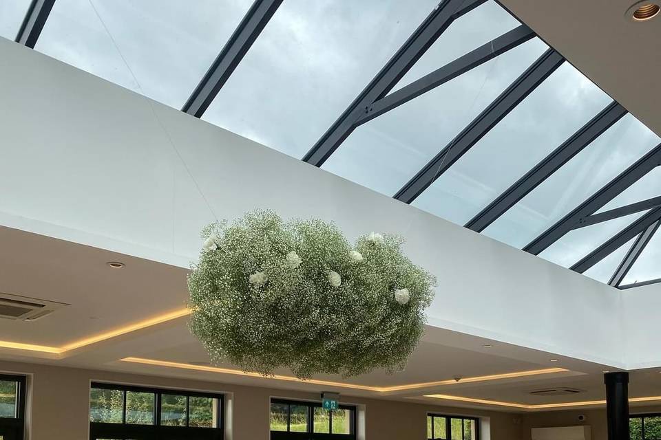 Gypsophila cloud