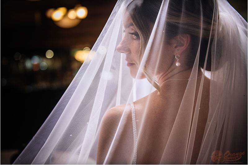 Natasha- bridal portrait