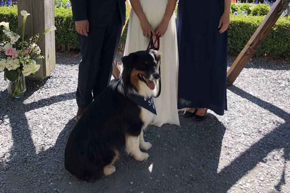Garden wedding with pup