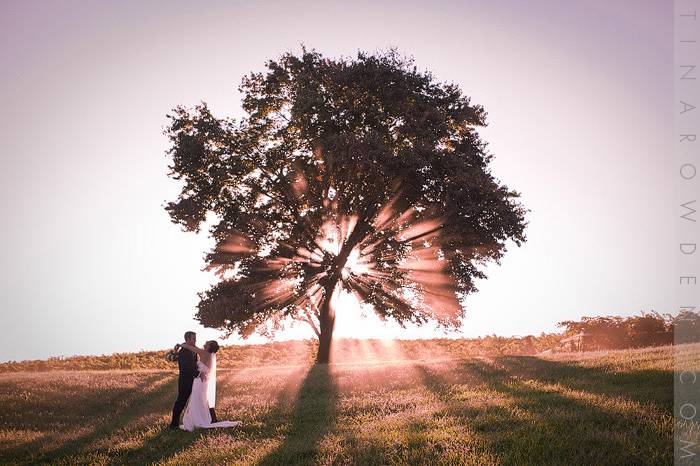 Vineyard wedding