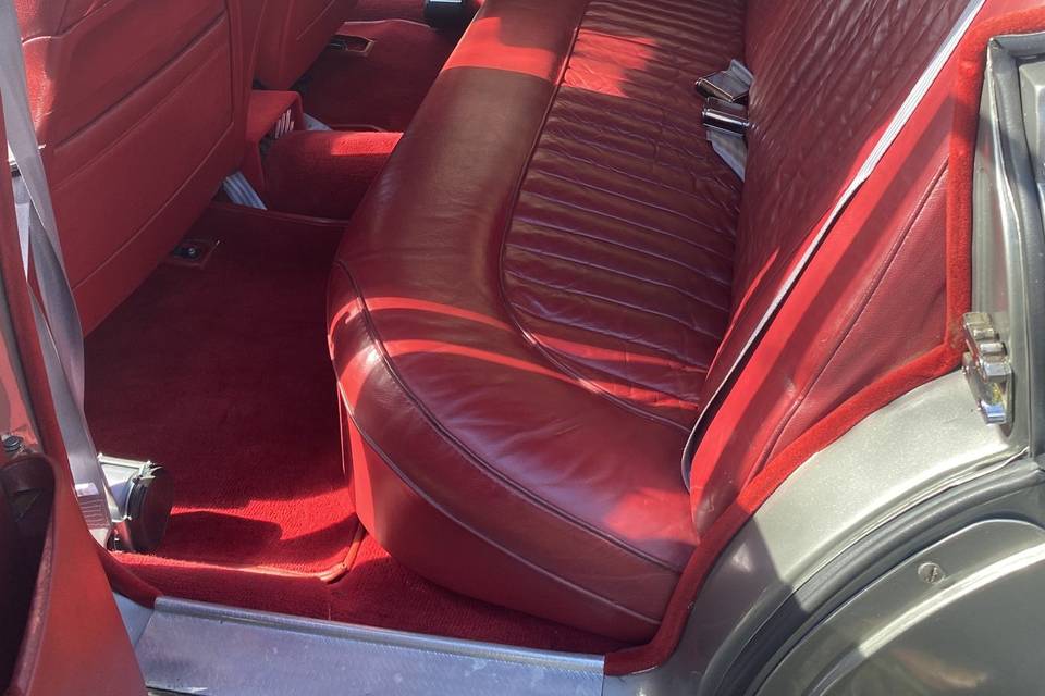 Bertie's interior
