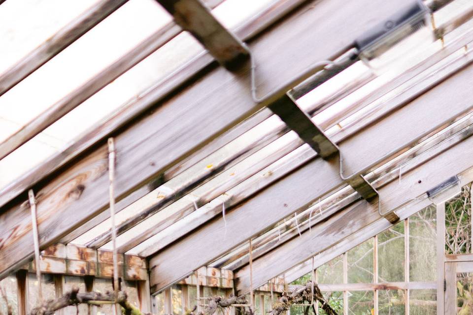 Inside the Greenhouse