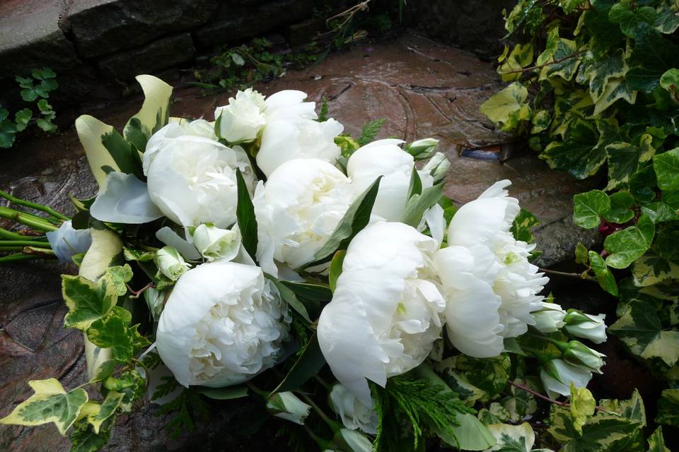 Over arm bouquet of white peoi