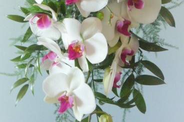 Cascading bouquet of orchids