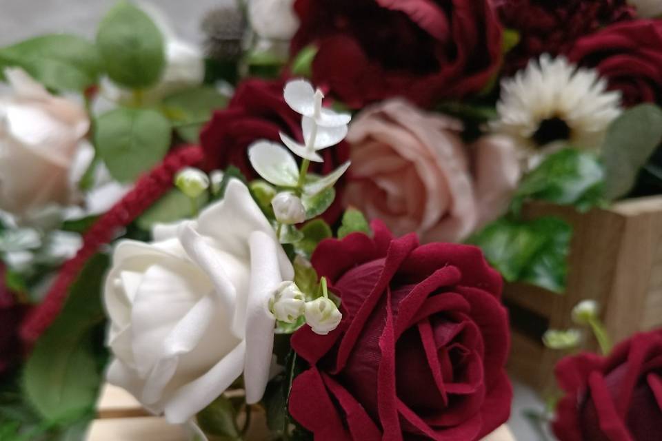 Velvet Deep Red and white rose
