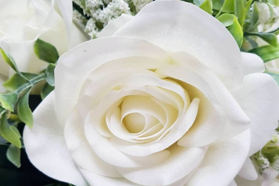 White Rose