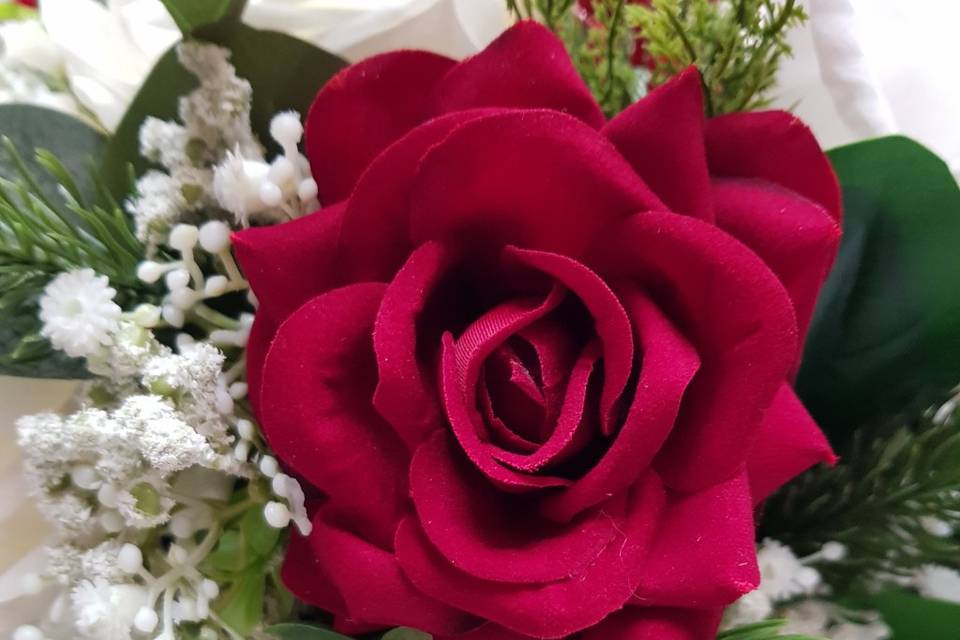 Velvet red