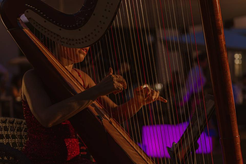Wedding musicians