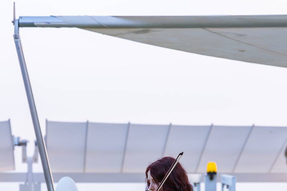 Wedding musicians