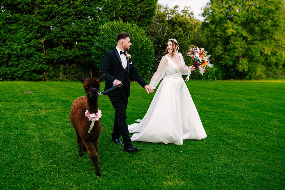 Glyn Clydach Wedding