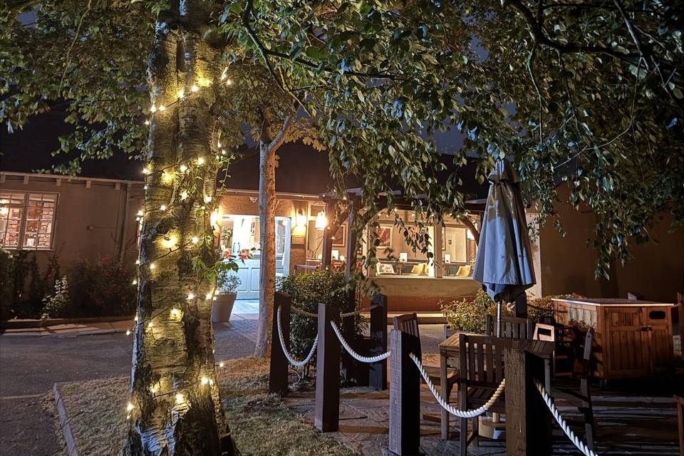 Under the Fairy Lights