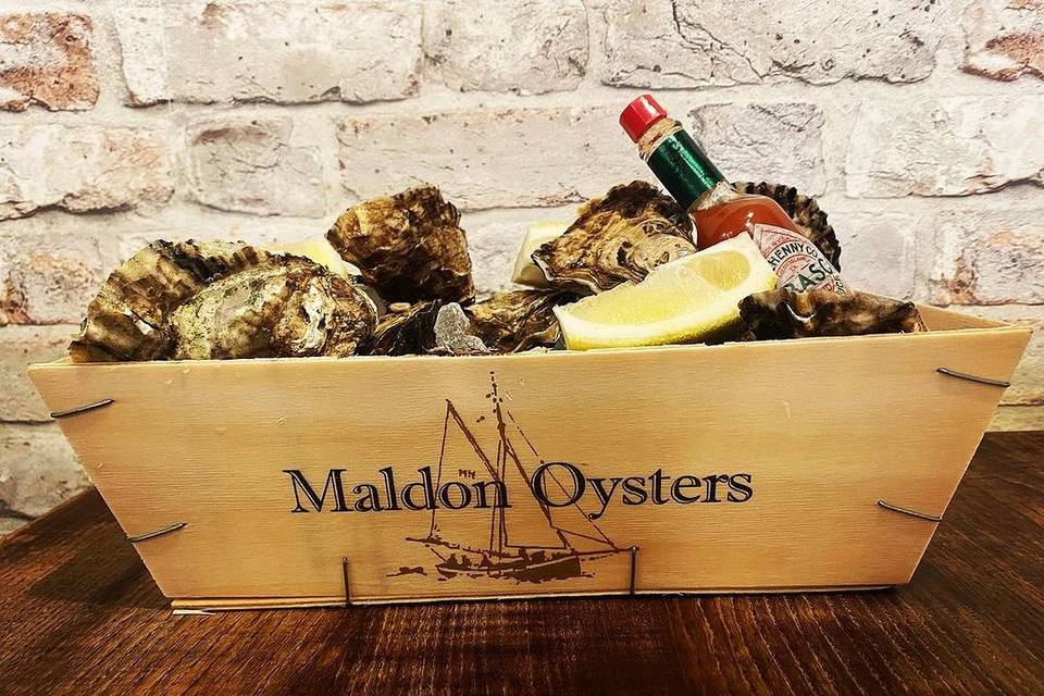 Maldon Oysters