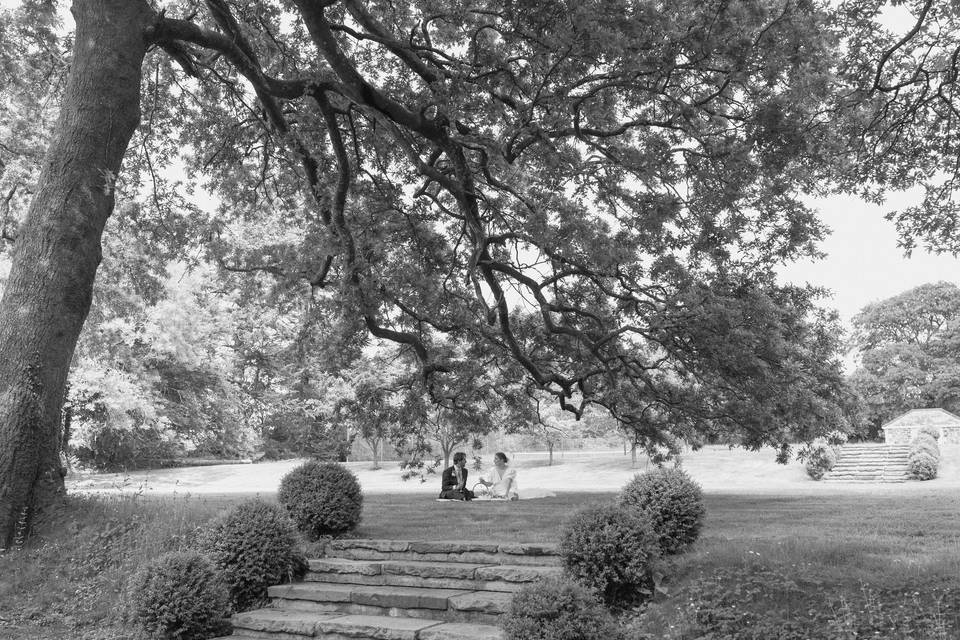 Intimate Picnics