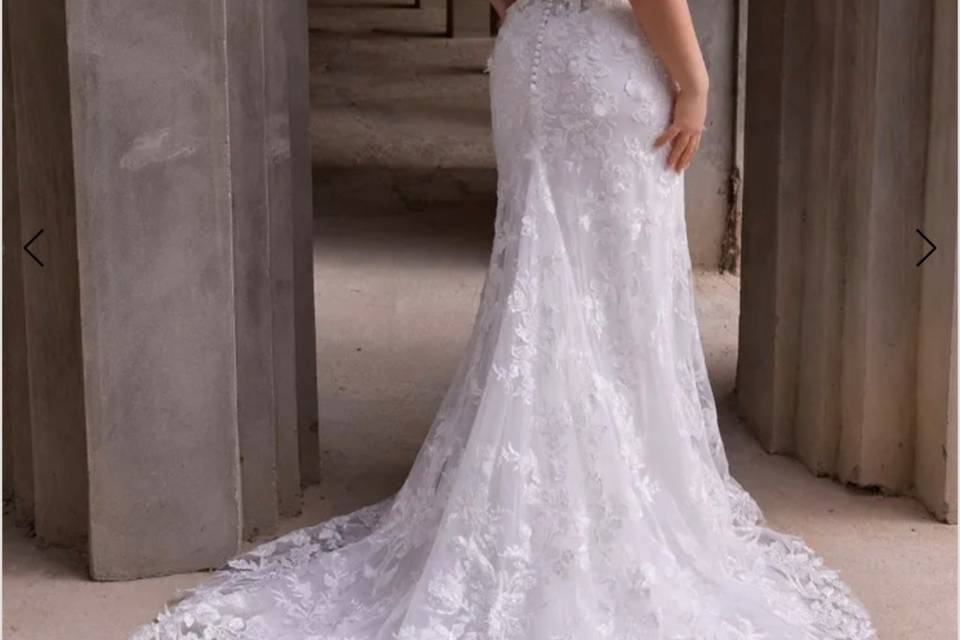Plus size bridal