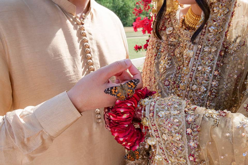 Butterfly on bride and groom
