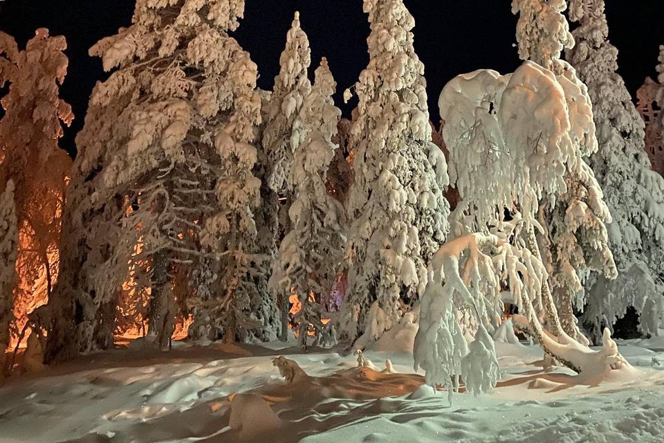 Lapland By Clare