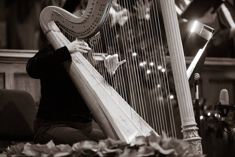 An events harpist
