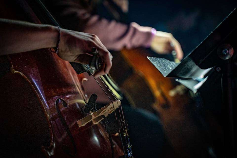 A double bass section