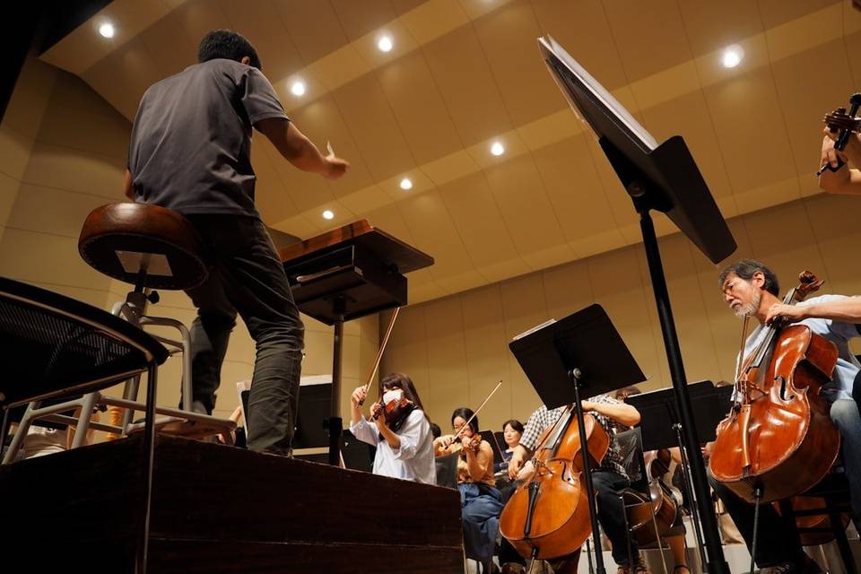 An orchestral concert
