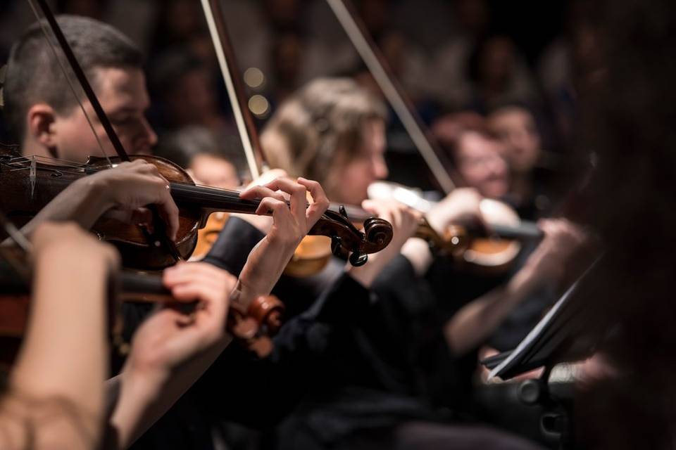 A string section at a concert